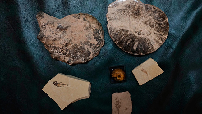 India's self-proclaimed 'history hunter' is on a drive to salvage the past for future generations